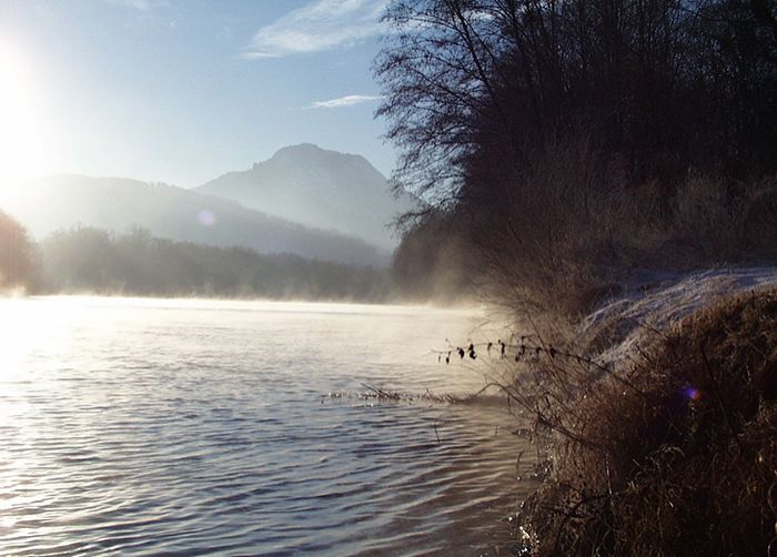 Der Inn im Herbstnebel