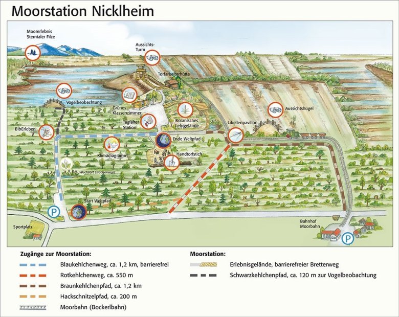 Illustrierte Übersichtskarte der Moorstation Nicklheim mit Wegen, Stationen und Sehenswürdigkeiten wie Aussichtsturm, Torfarbeiterhütte, Vogelbeobachtung und Moorbahn.